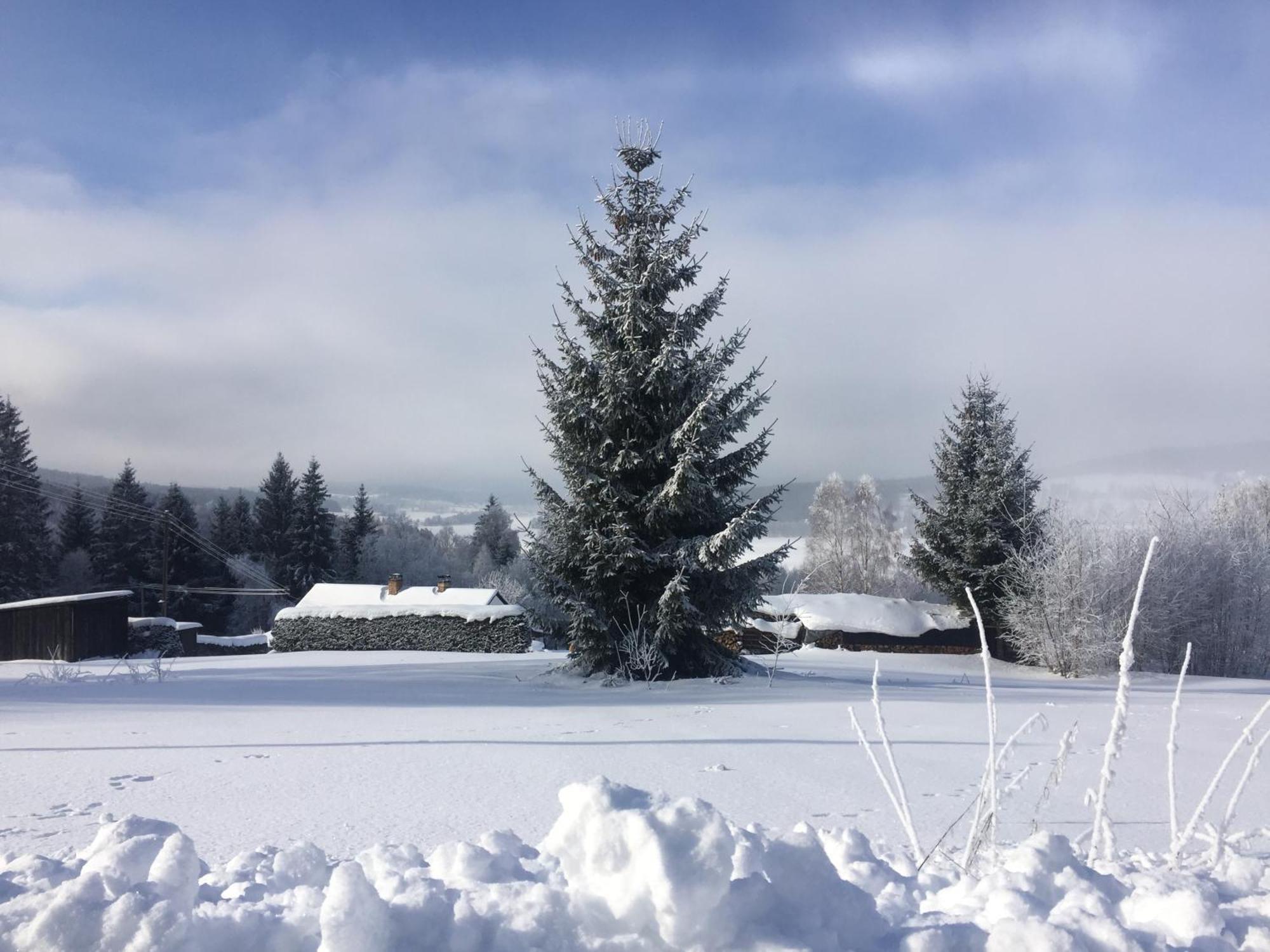 Apartmany Hajovna Lipno Loucovice ภายนอก รูปภาพ