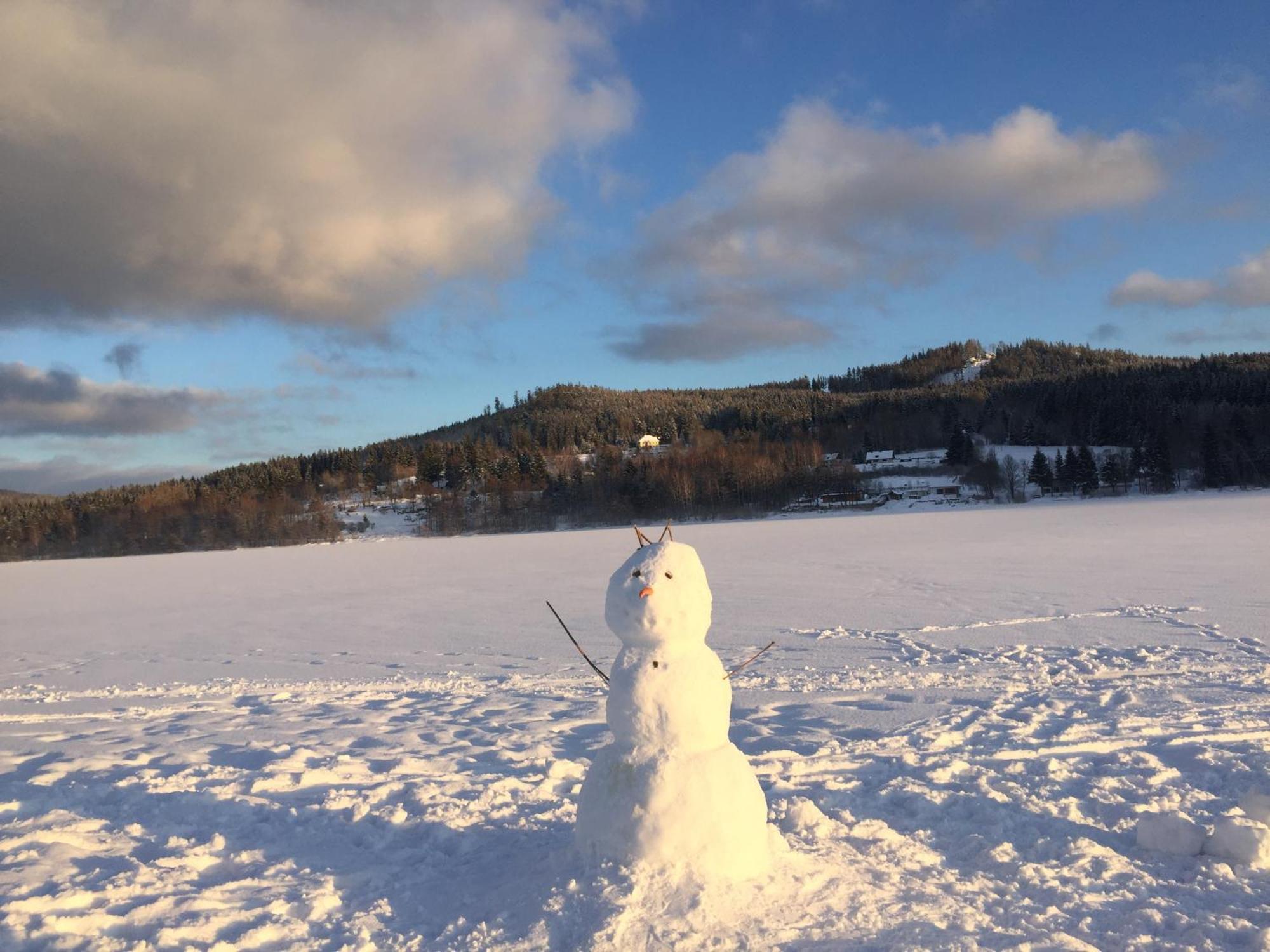 Apartmany Hajovna Lipno Loucovice ภายนอก รูปภาพ