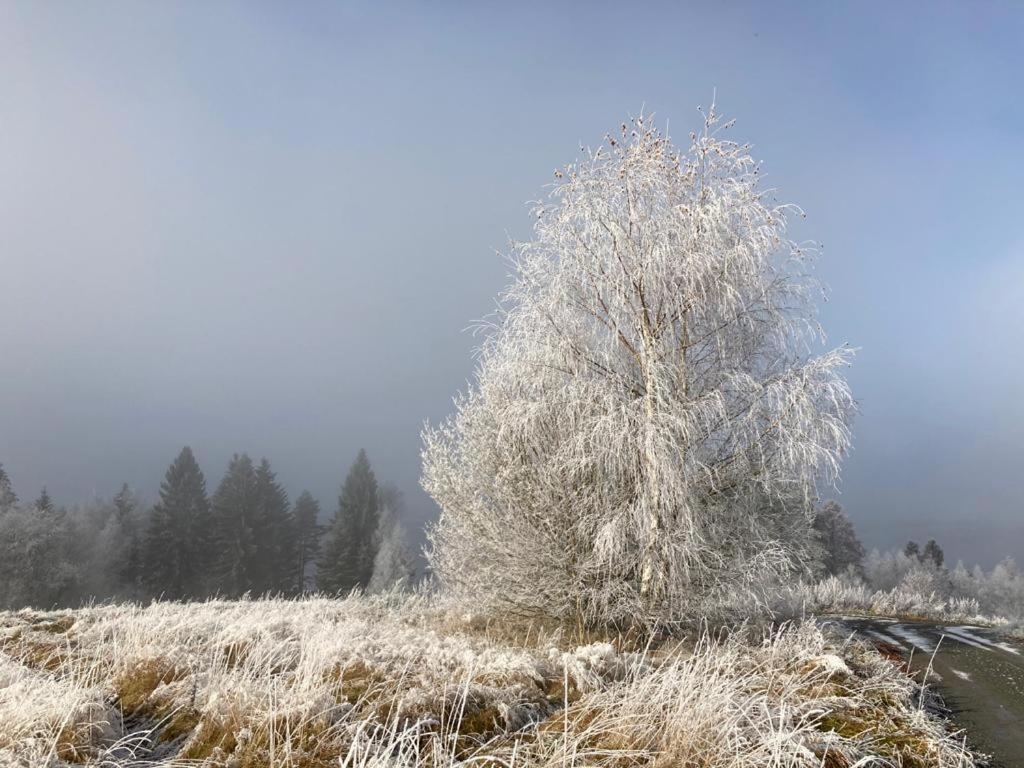 Apartmany Hajovna Lipno Loucovice ภายนอก รูปภาพ