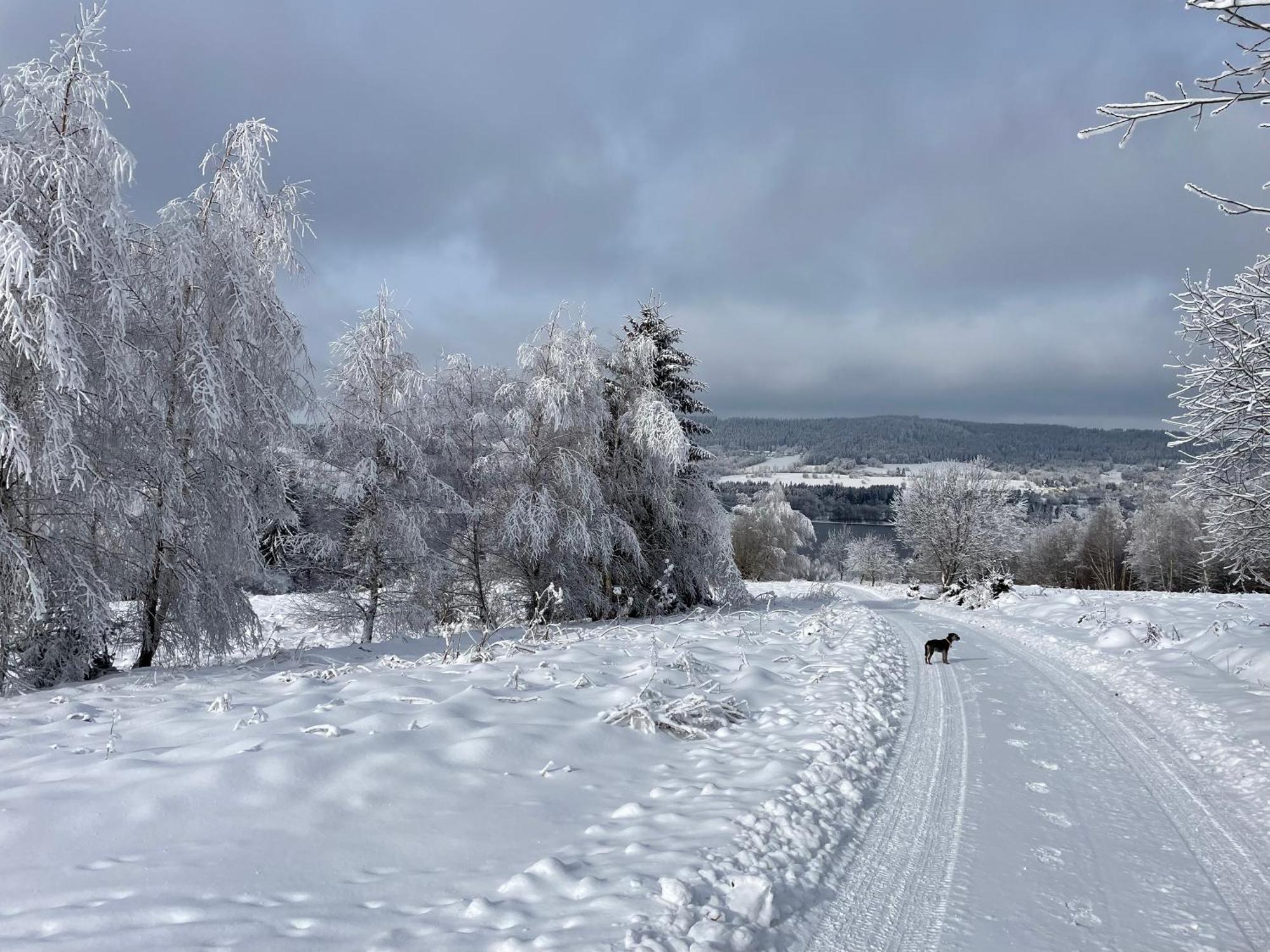 Apartmany Hajovna Lipno Loucovice ภายนอก รูปภาพ