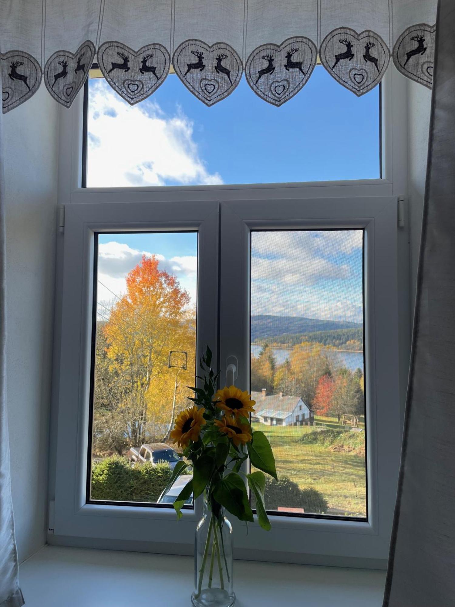 Apartmany Hajovna Lipno Loucovice ภายนอก รูปภาพ